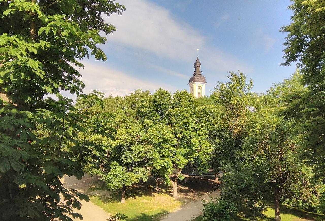 Apartment In The Center Of Old Town Kam'janec'-Podil's'kyj Esterno foto